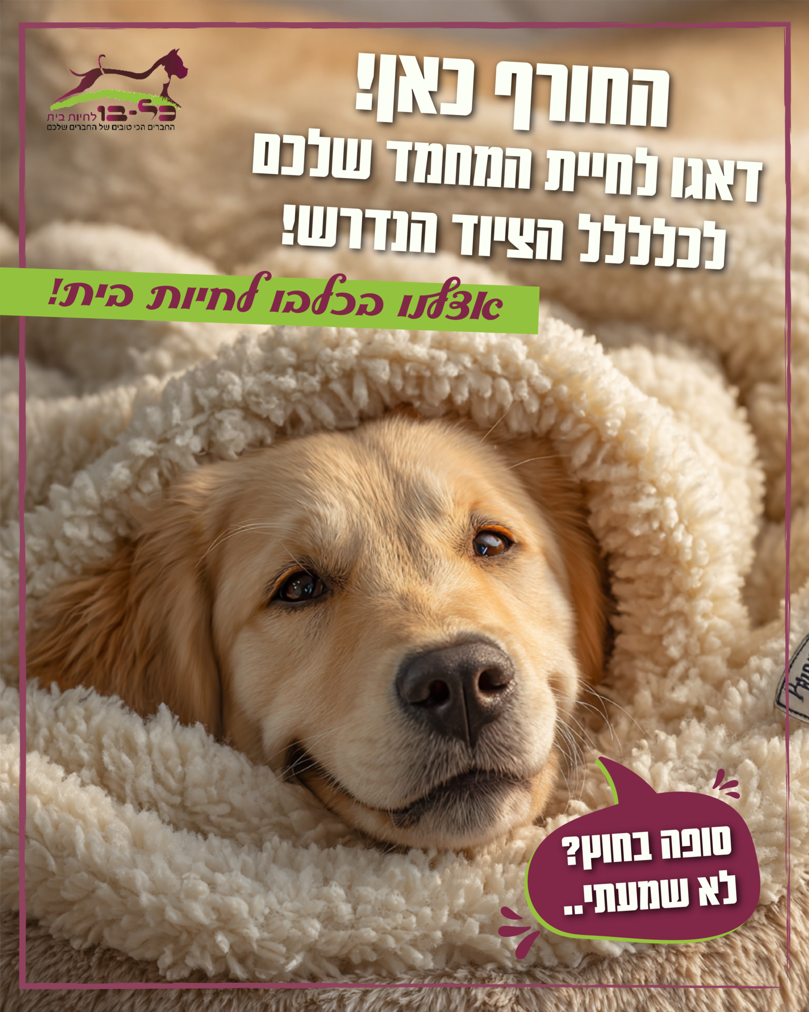 בנק פוסטים דצמבר-01 (2)