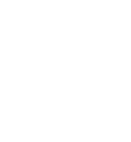 עושים שכל