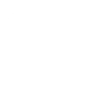 אקטיב מוטורס