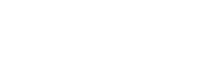 סבג יזמות ובנייה