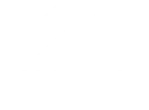 Harel Projects