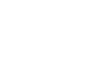 משק לין