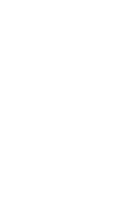 Liat Violin